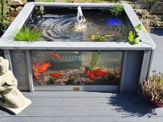 garden aquarium