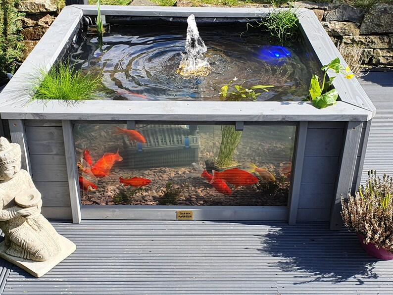 pond aquarium