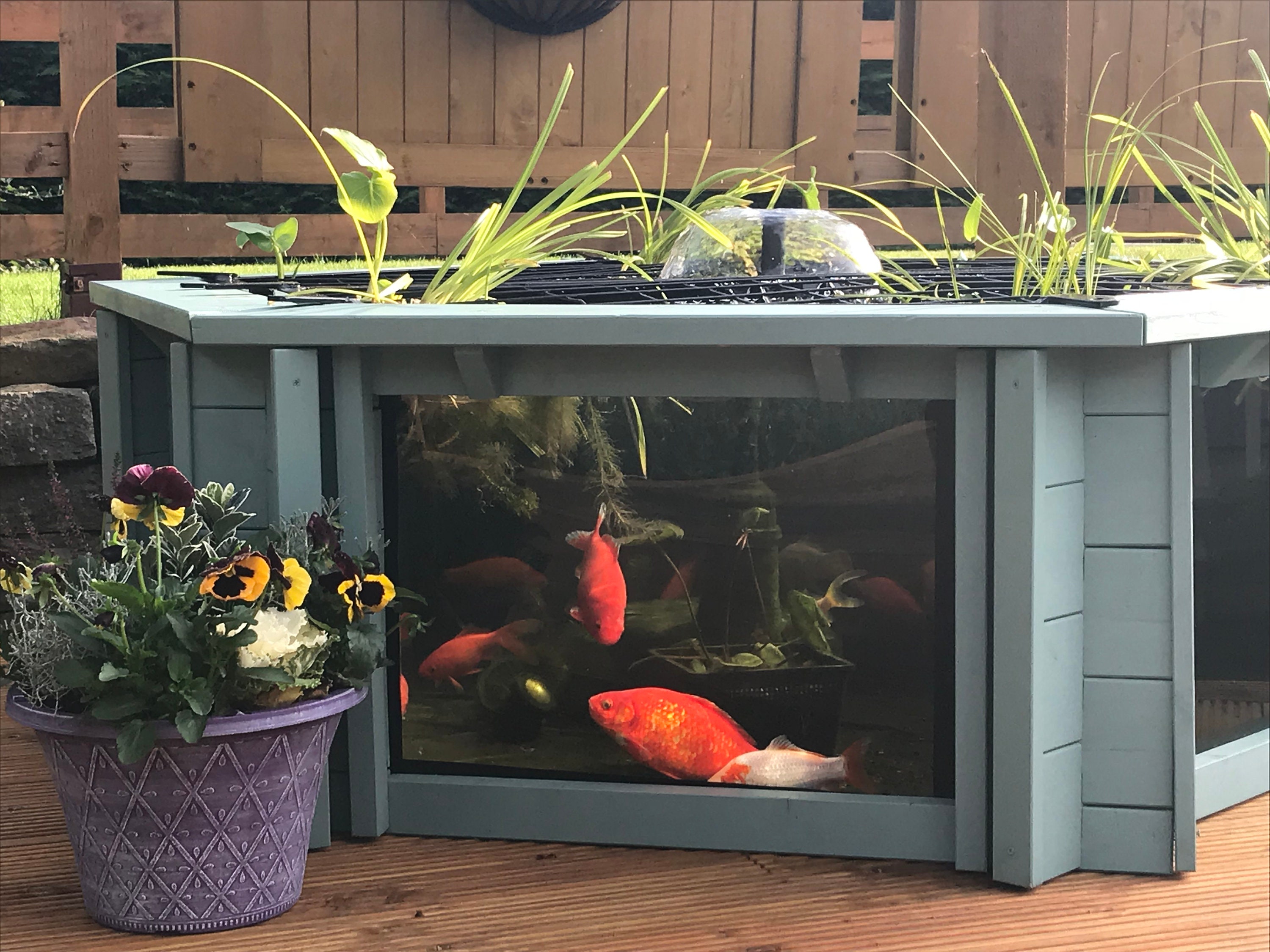 Lily Clear View Garden Aquarium Raised Hexagon Pond Etsy