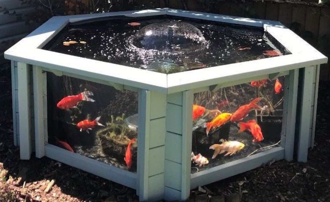 Clear tropical fish online
