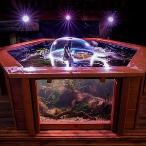 Lily Clear View Garden Aquarium laghetto per pesci da giardino esagonale rialzato con finestre