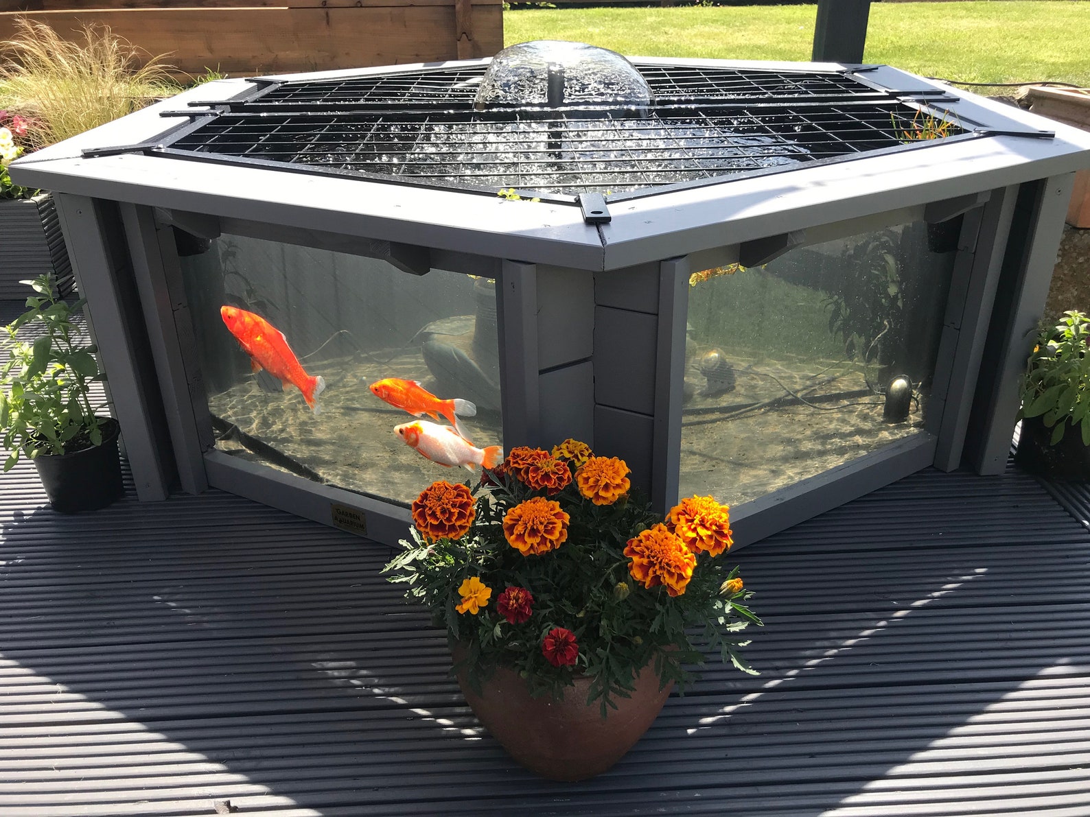 Tiny Above Ground Aquarium