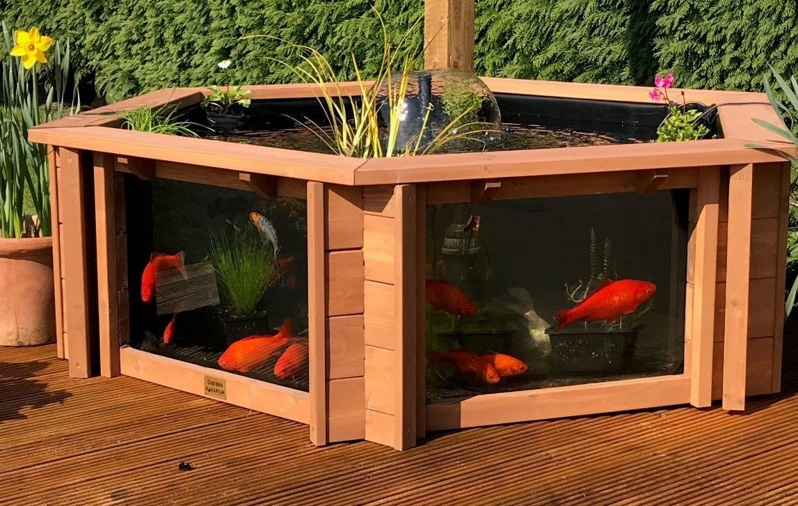 Lily Clear View Garden Aquarium Raised Hexagon Garden Fish Pond