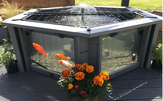 10+ Fish In A Fountain