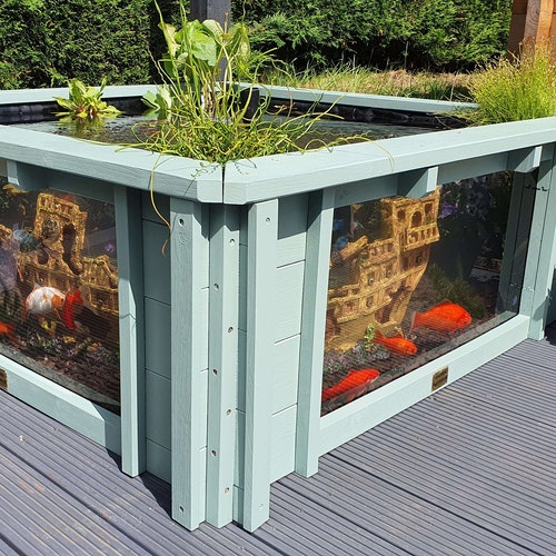 Lotus Clear View Garden Aquarium Raised Fish Pond With Windows Etsy