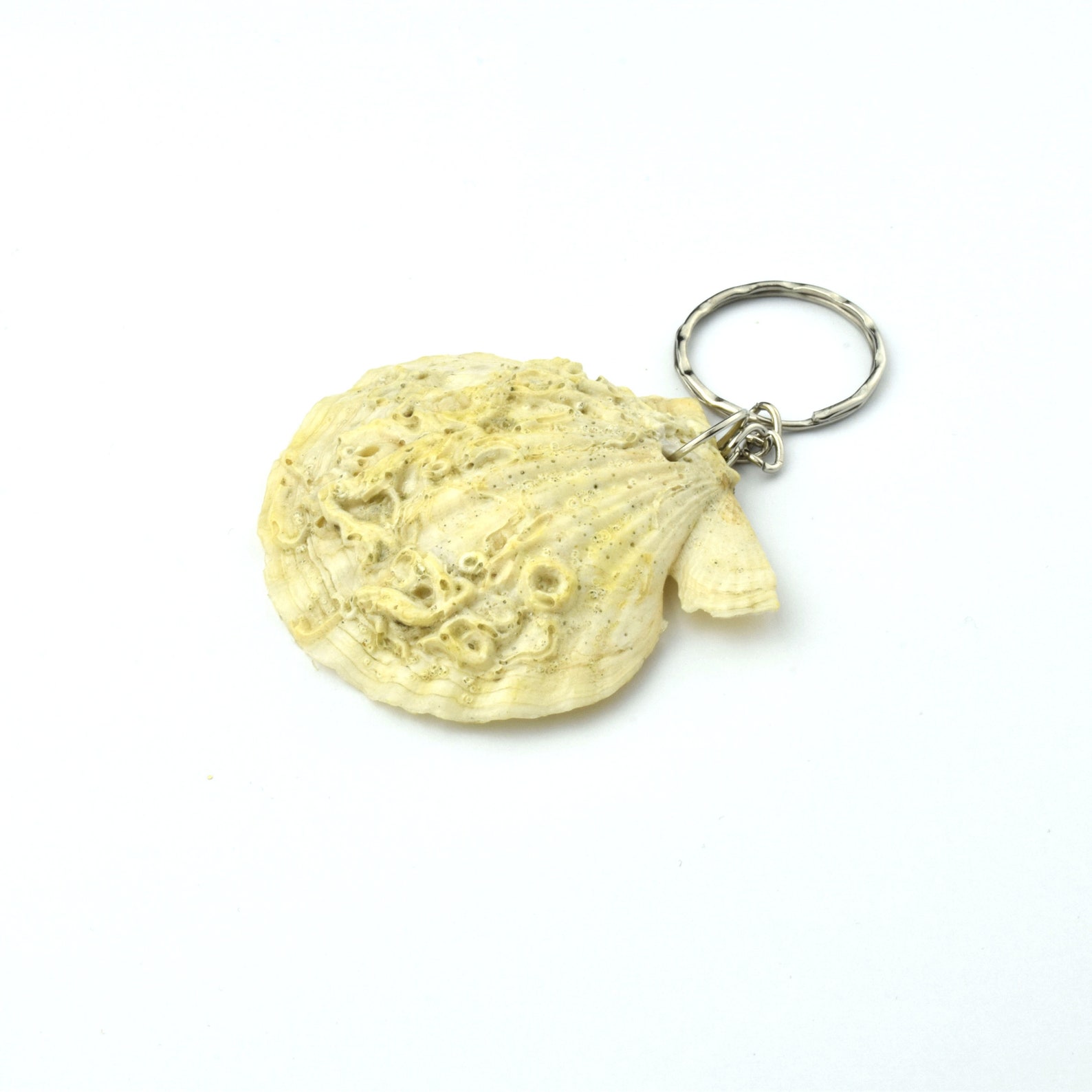 Natural Seashell Keychain, Nautical Keychain, Handmade Keychain Etsy