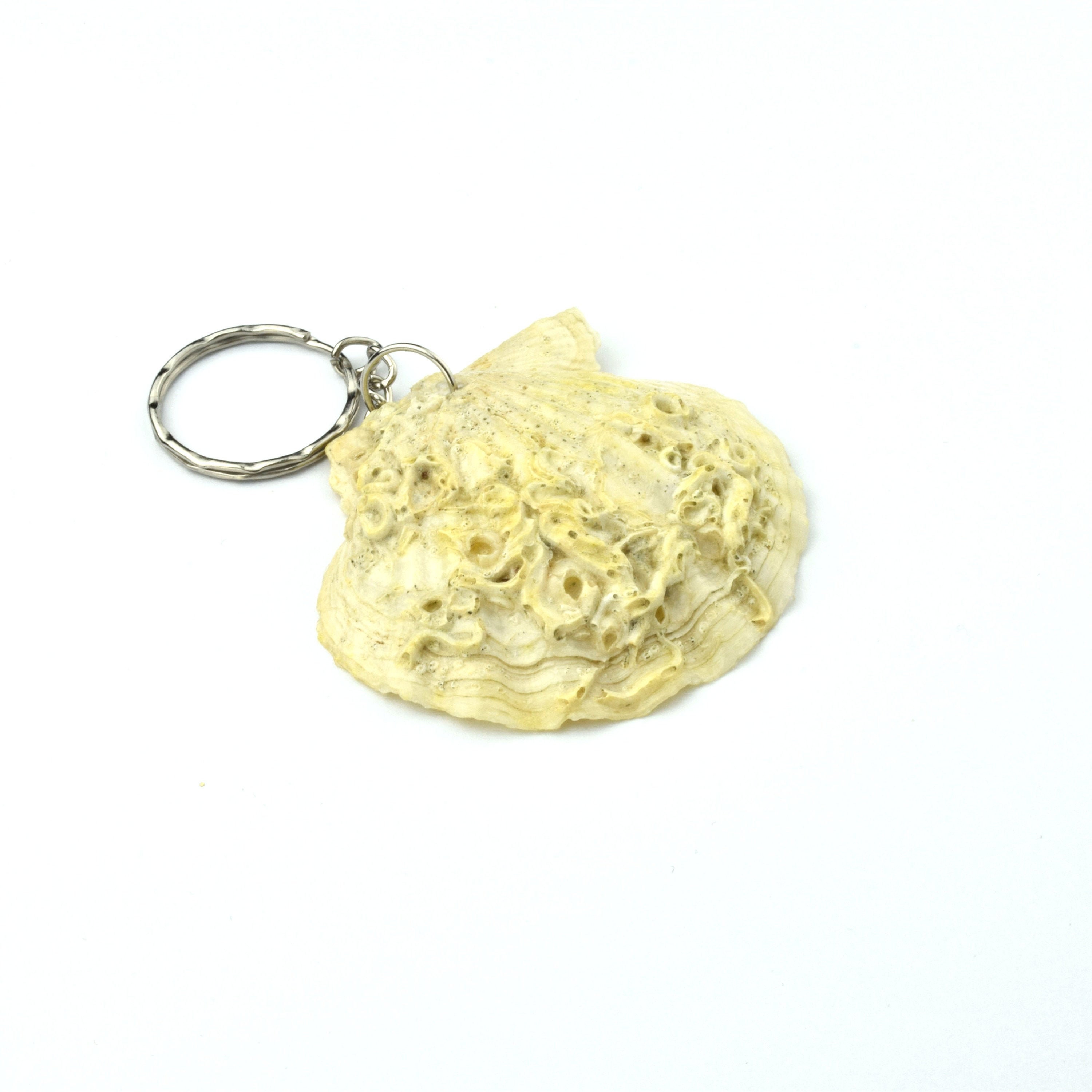 Natural Seashell Keychain, Nautical Keychain, Handmade Keychain Etsy