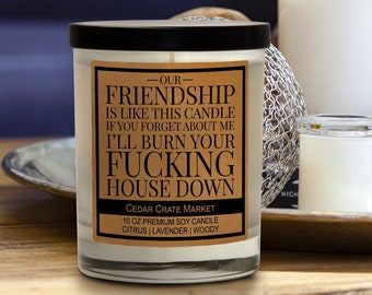 Our Friendship is Like This Candle, if You Forget About Me I'll Burn Your Fucking House Down - Best Friends Candle Gift