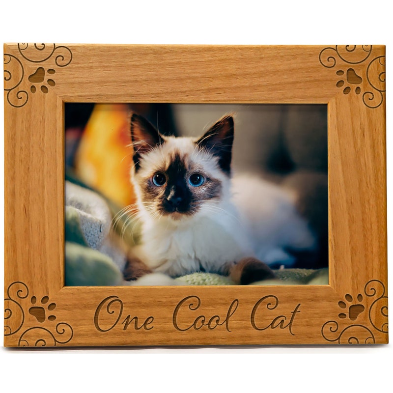 Mini Cat Picture Frame Cat Picture Frame - Etsy
