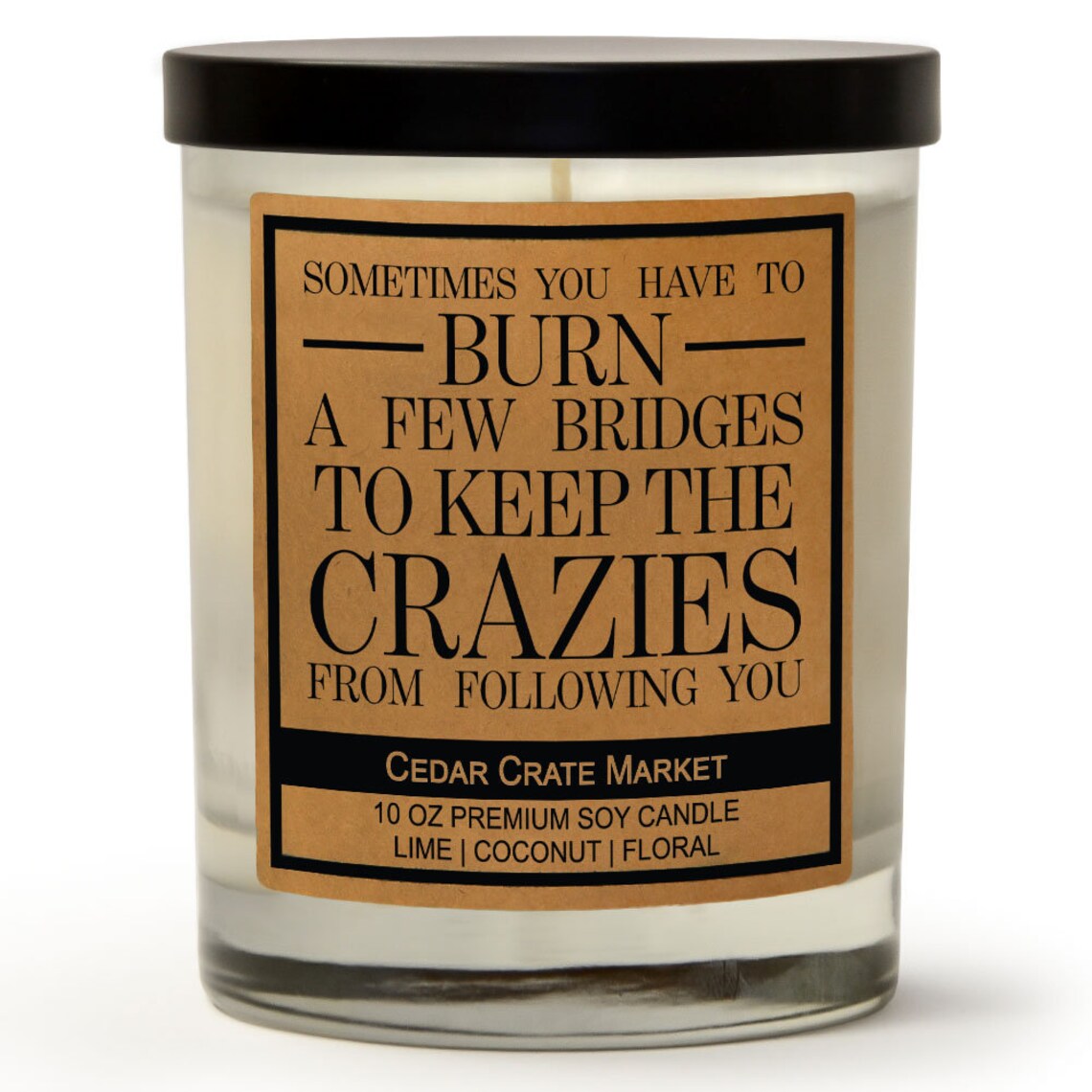Funny Candle Sarcastic Candles Burn A Few Bridges Lime Etsy