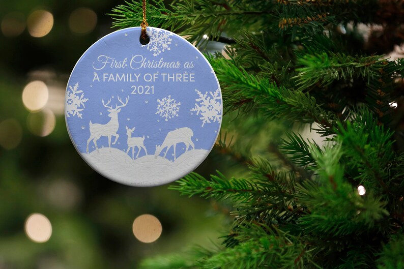 New Family Gift Collectible Holiday Keepsake New Parent Present Family of 3 Owl Ceramic Christmas Tree Ornament