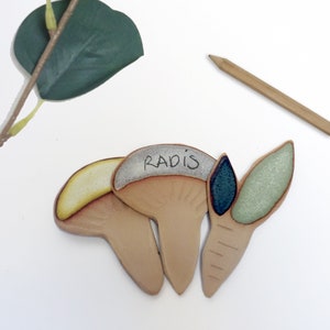 Set of 3 reusable garden or decorative labels, labels to identify your plants, carrot and mushroom labels