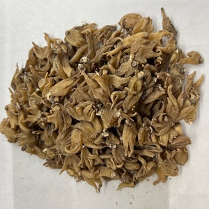 May include: A pile of dried, light brown, claw-shaped roots. The roots are clustered together and have a rough, textured surface.