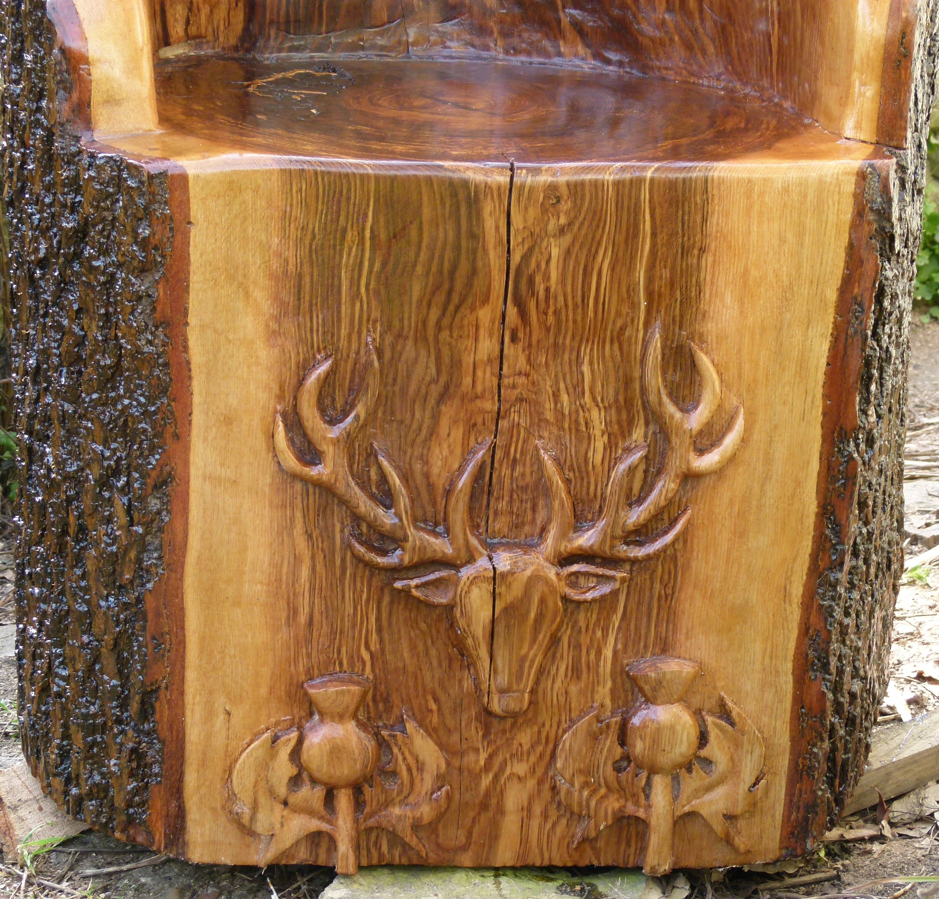 Chair carved out of a hollow tree trunk Etsy