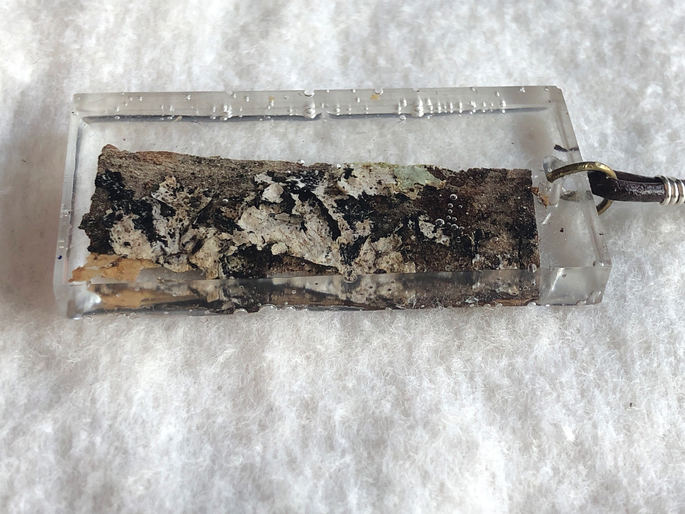 Epoxy Resin Tree Lichen Bark Nature Natural Pendant Etsy