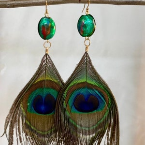 Murano Glass and Peacock Feathers