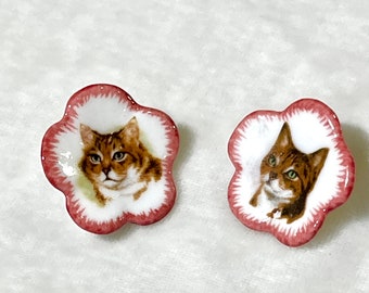 Süße antike Porzellanknöpfe mit Katzenmotiv