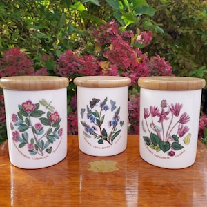 Trio von Portmeirion Floral Deckeldosen. Botanischer Garten Vorratstöpfe. Rhododendron/Veronika/Bergveilchen. 11,5cm hoch. Susan Williams-Ellis