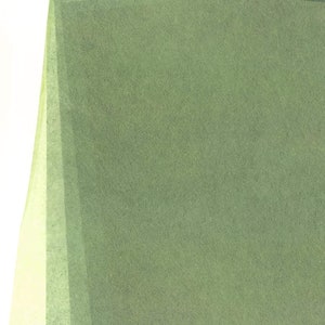 May include: A sheet of green tissue paper with a slightly textured surface.