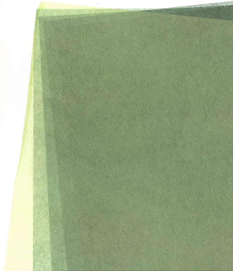 May include: A sheet of green tissue paper with a slightly textured surface.