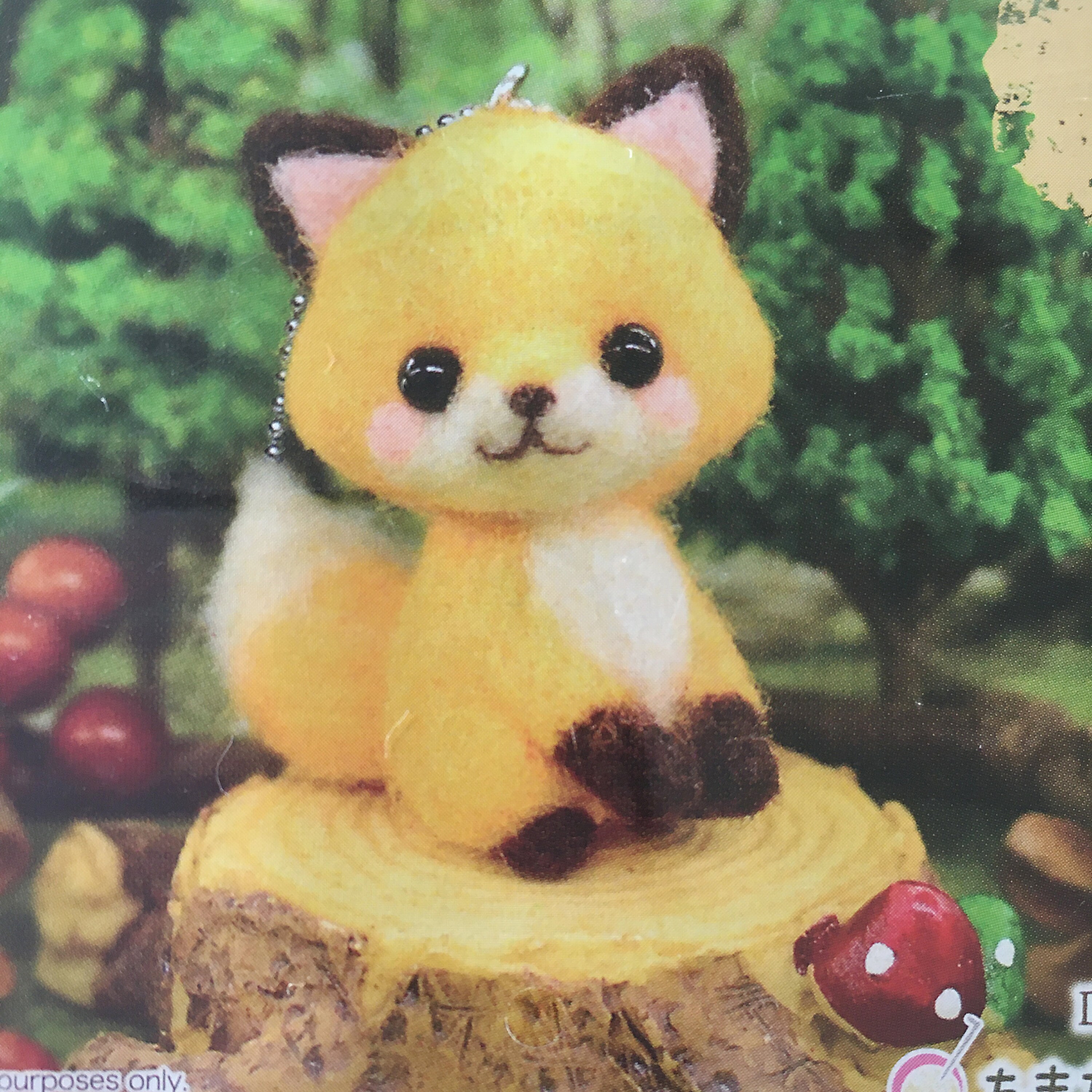 Daiso wool felt kit /needle wool felt kit Etsy