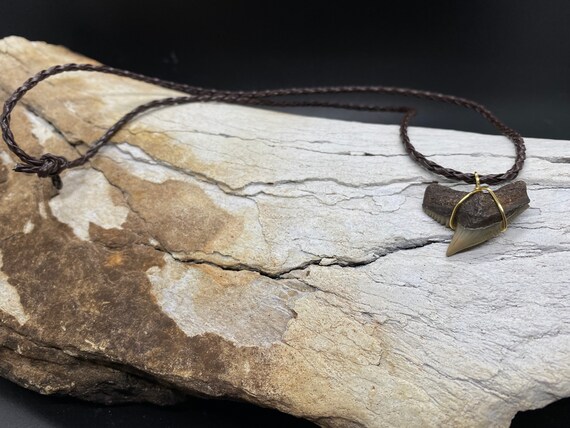 Tiger Shark Necklace, Shark Tooth Necklace, Fossi… - image 2