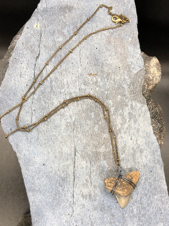 Bull Shark Necklace, Shark Tooth Necklace, Fossil 