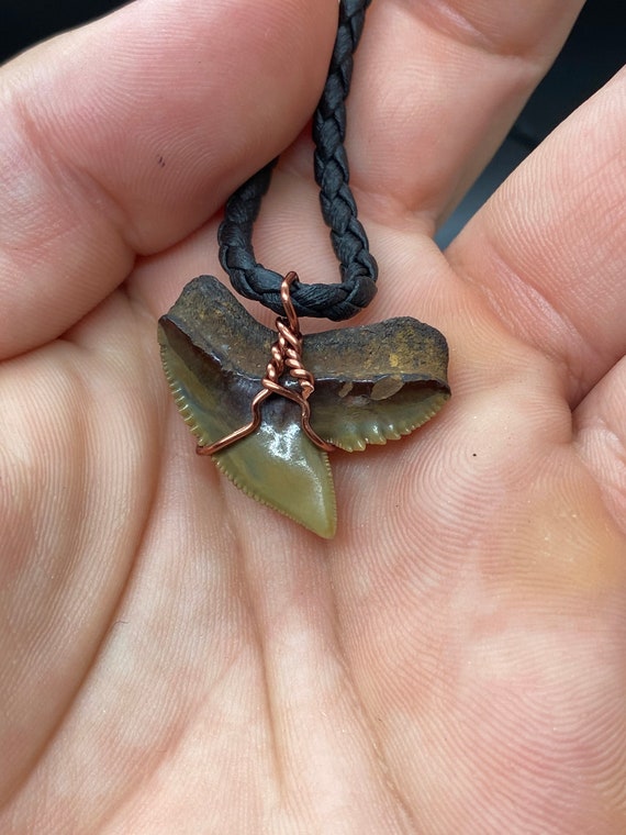 Tiger Shark Necklace, Shark Tooth Necklace, Fossi… - image 4