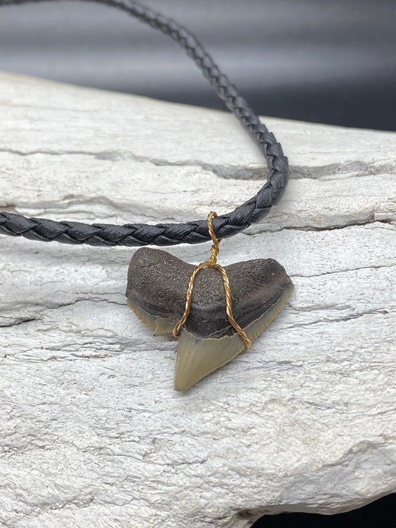 Tiger Shark Necklace, Shark Tooth Necklace, Fossi… - image 1