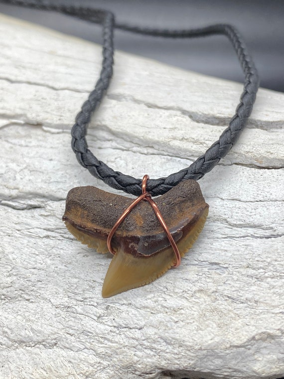 Tiger Shark Necklace, Shark Tooth Necklace, Fossi… - image 1