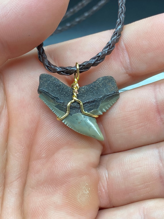 Tiger Shark Necklace, Shark Tooth Necklace, Fossi… - image 4