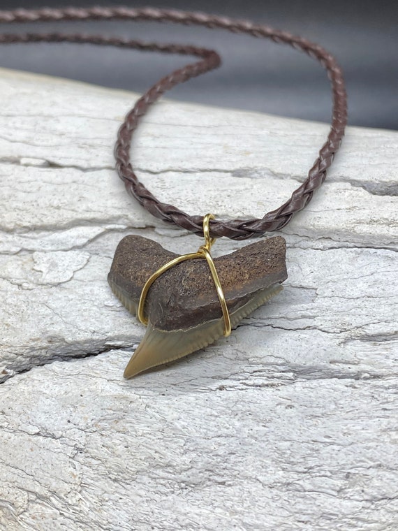 Tiger Shark Necklace, Shark Tooth Necklace, Fossi… - image 1