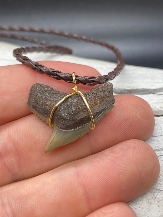 Tiger Shark Necklace, Shark Tooth Necklace, Fossi… - image 3