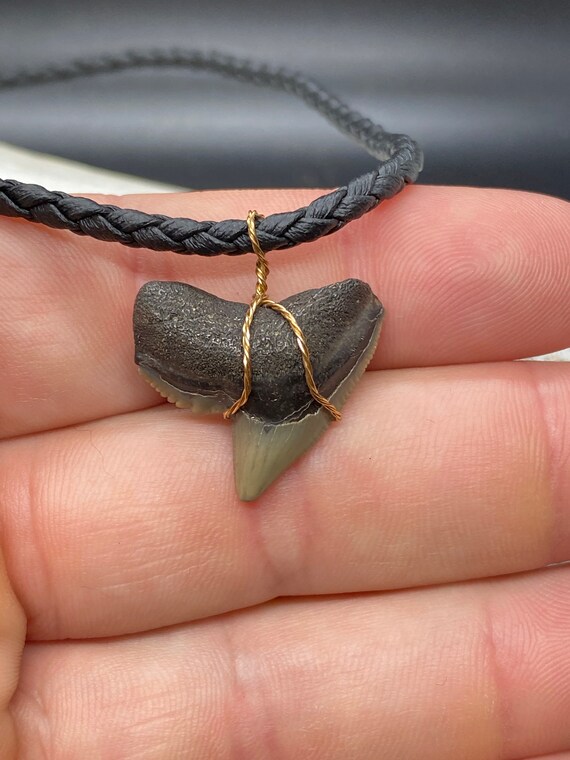 Tiger Shark Necklace, Shark Tooth Necklace, Fossi… - image 3
