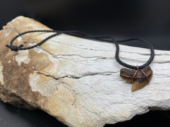 Tiger Shark Necklace, Shark Tooth Necklace, Fossi… - image 2
