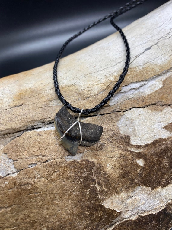 Tiger Shark Necklace, Shark Tooth Necklace, Fossi… - image 1