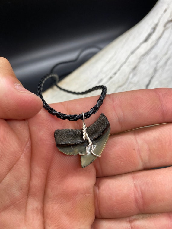 Tiger Shark Necklace, Shark Tooth Necklace, Fossi… - image 4