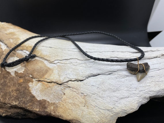 Tiger Shark Necklace, Shark Tooth Necklace, Fossi… - image 2