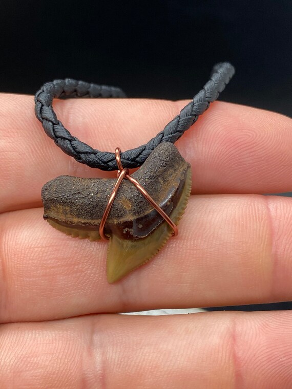 Tiger Shark Necklace, Shark Tooth Necklace, Fossi… - image 3