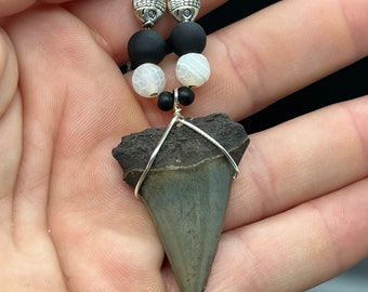 Mako shark tooth necklace, Fossil shark tooth Necklace, Shark tooth Necklace