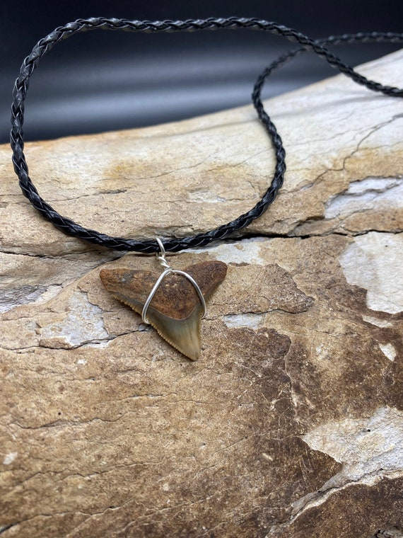 Bull Shark Necklace, Shark Tooth Necklace, Fossil… - image 1