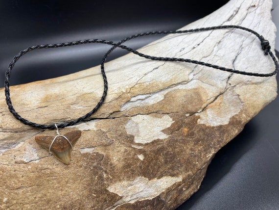 Bull Shark Necklace, Shark Tooth Necklace, Fossil… - image 2