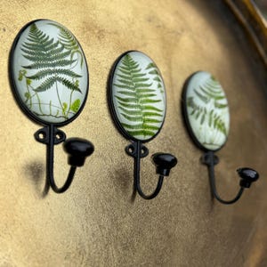 May include: A set of three wall hooks with a fern design. Each hook has an oval-shaped, black-framed design with a green and white fern print. The hooks are black with a curved design and a black knob at the end.