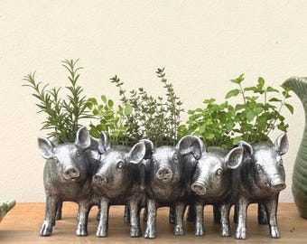 Può includere: Una fioriera color argento a forma di fila di cinque maiali in piedi. Il contenitore con finitura metallica presenta musi, orecchie e zampe dettagliati, con erbe verdi piantate all'interno dei dorsi cavi delle figure dei maiali.