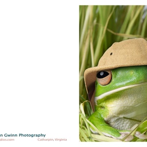 White-Lipped Treefrog in Pith Helmet