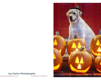 Yellow Lab Puppy in Witch's Hat
