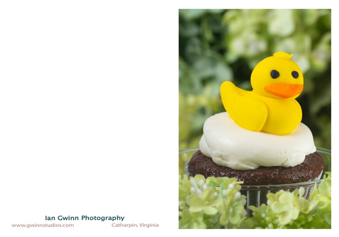 Duckling Cupcake - Etsy