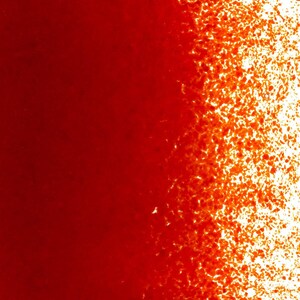124 Red Opal POWDER Full Jar 16 ounces 90 COE Bullseye Frit Fusing Supplies Glass 90COE Fusible