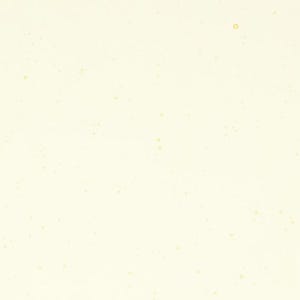 May include: A light beige background with a subtle pattern of small, light yellow dots.