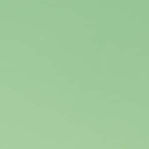 May include: A solid, light green background.